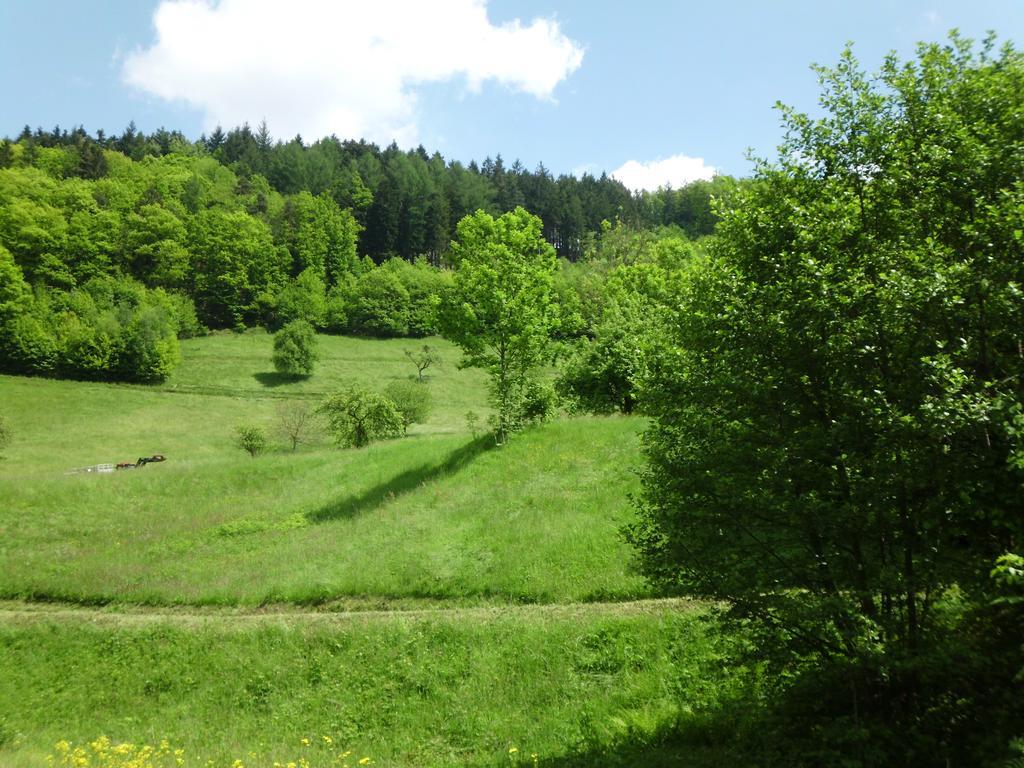 Finken, Gaestezimmer An Der Rench Опенау Екстериор снимка